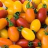Tomato: Mixed Baby Plum