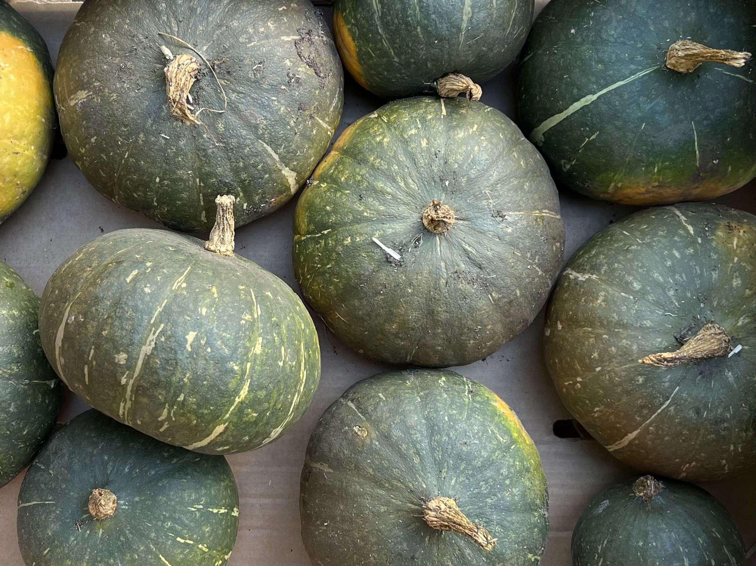 Image of the product