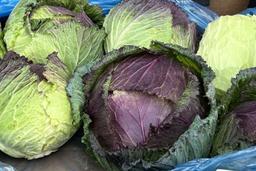 Image of 🎄Standard Christmas Box🎄