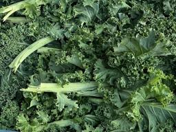 Image of 🎄Standard Christmas Box (no potatoes)🎄