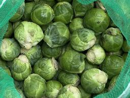 Image of 🎄Basic Christmas Box🎄